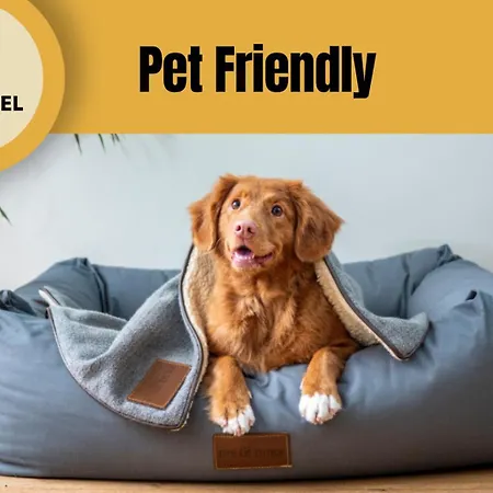 Staynfeel 01 Apartment *