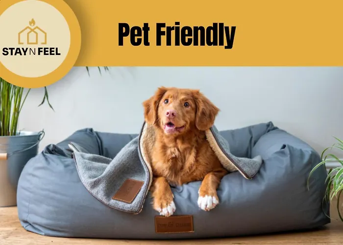 Staynfeel 01 Appartement *